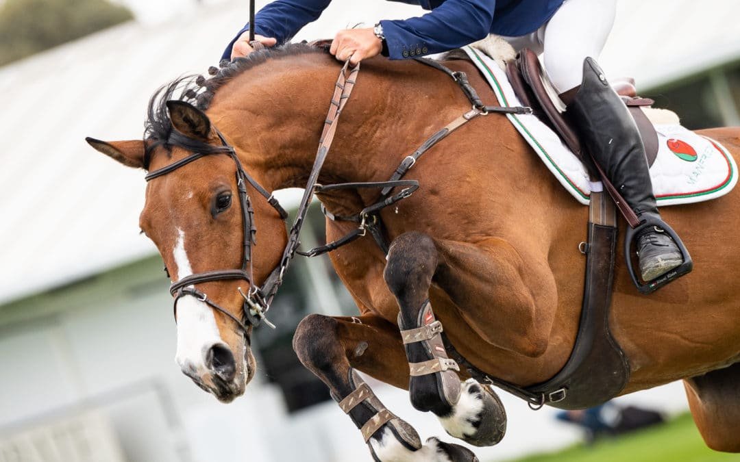 Enrique Camiruaga, único cero en el Gran Premio Invitational 1.60