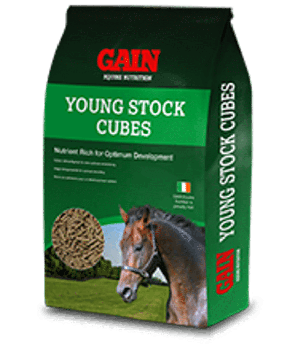 GAIN: PIENSO PARA CABALLOS GANADORES