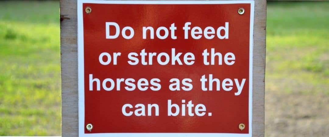La Teoría del Riesgo aplicada al mundo ecuestre: ¿quién responde?