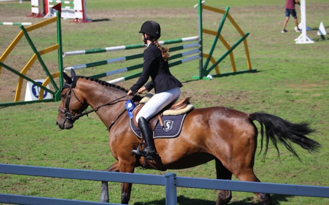 EMPIRE SAPPHIRE EQUESTRIAN: MODA ECUESTRE