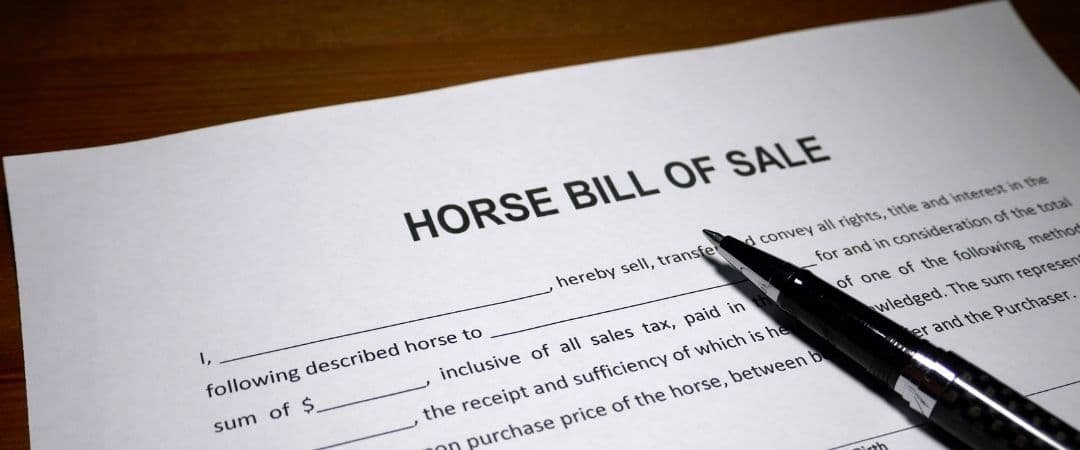 El origen del mundo deporte ecuestre y de las controversias jurídicas