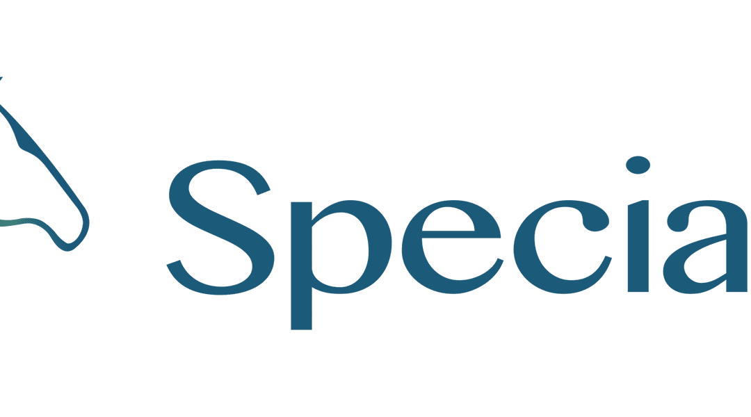 Alimentación para competición