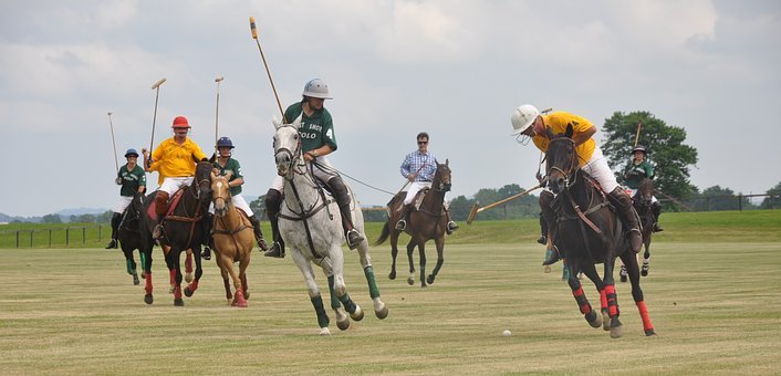 Los caballos de polo más destacados del mundo