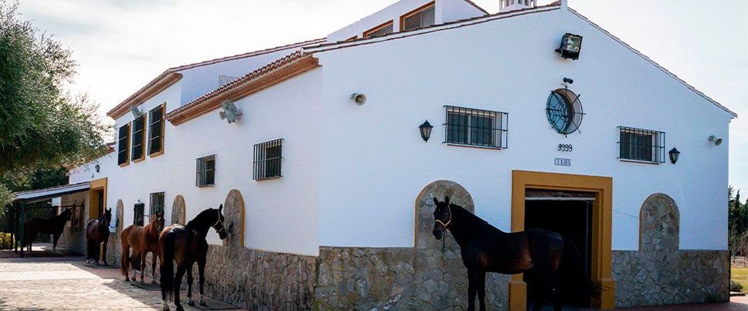 Yeguada Encinasola estrena página web