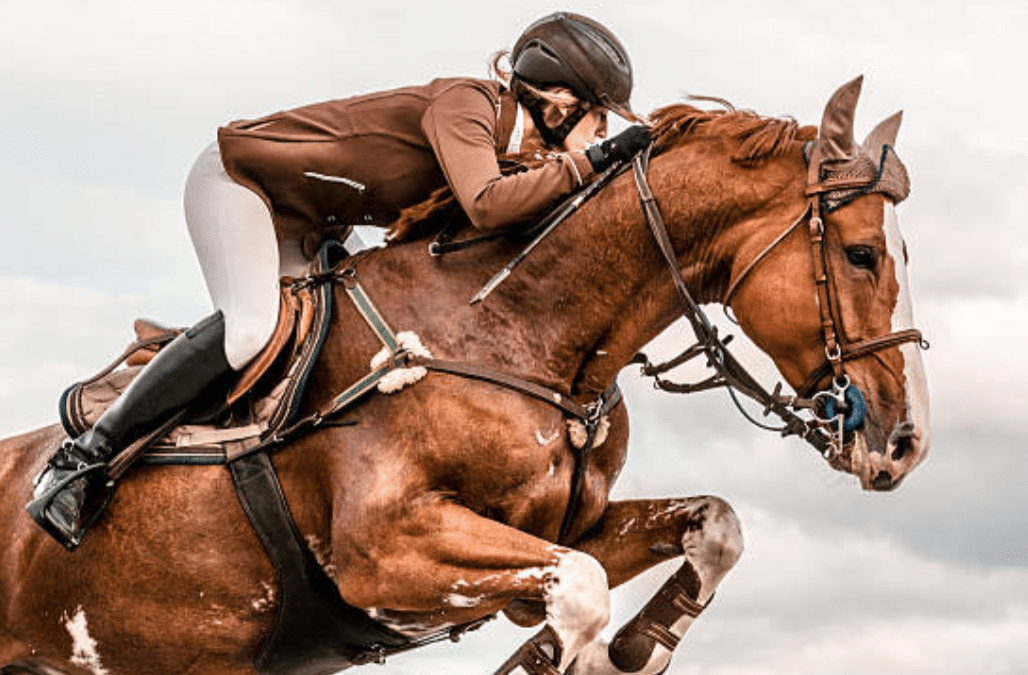 LA FEI HA DECIDIDO ELIMINAR DEL CALENDARIO LAS COMPETICIONES DE HUBSIDE EN ST TROPEZ Y VALENCE