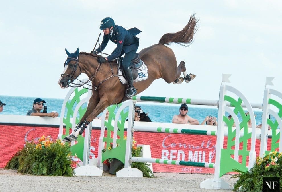 STEPHEX STABLES