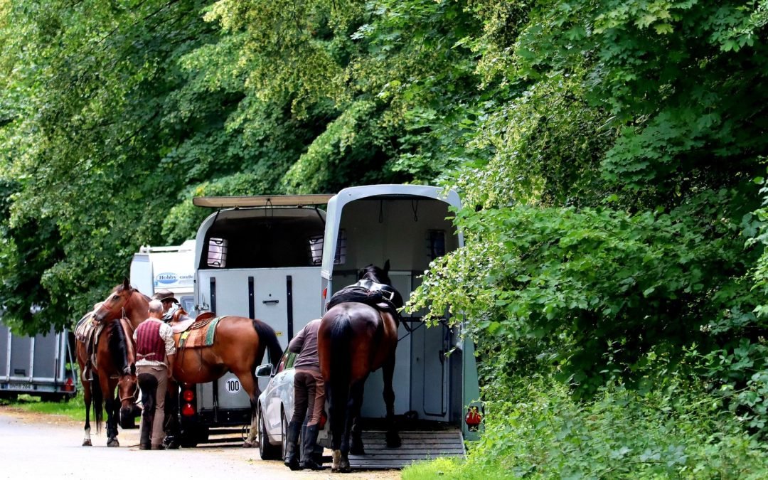 EL TRANSPORTE DEL CABALLO