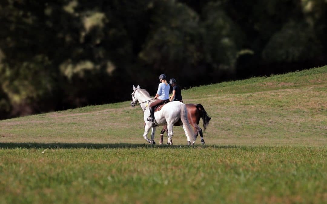 RUTAS A CABALLO: IMPRESCINDIBLES