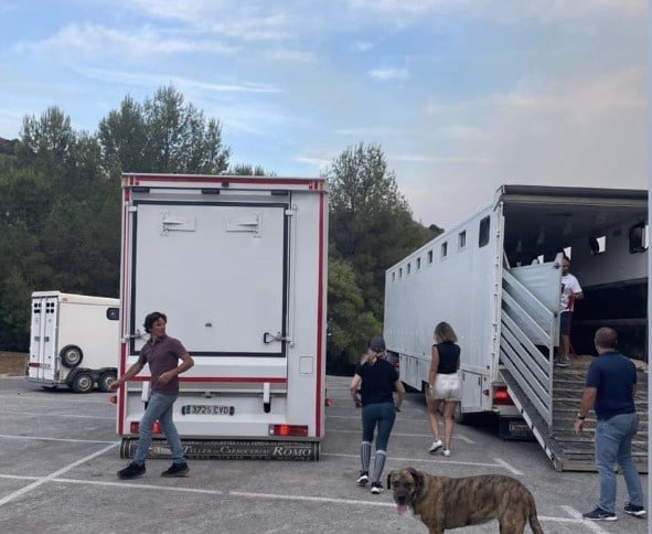 Incendio en Pujerra obliga a desalojar los caballos de Marbella Club