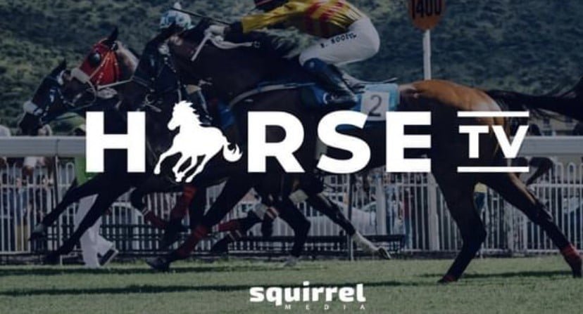 Os recomendamos Horse TV. Dial 76 de Movistar