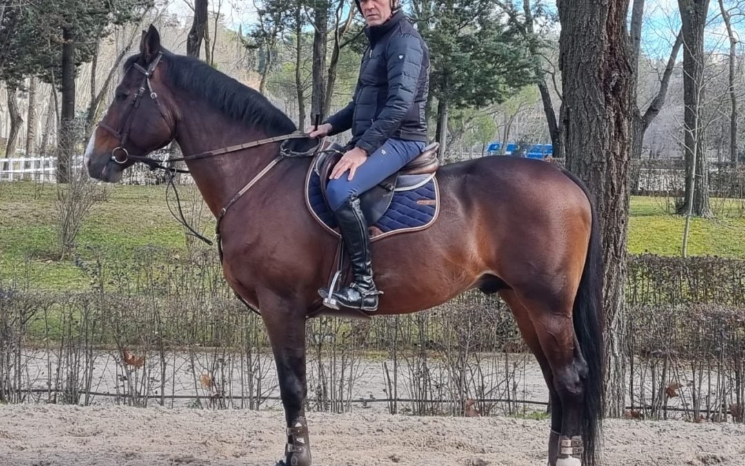 José Díaz Vecino nos cuenta sobre su nuevo caballo.