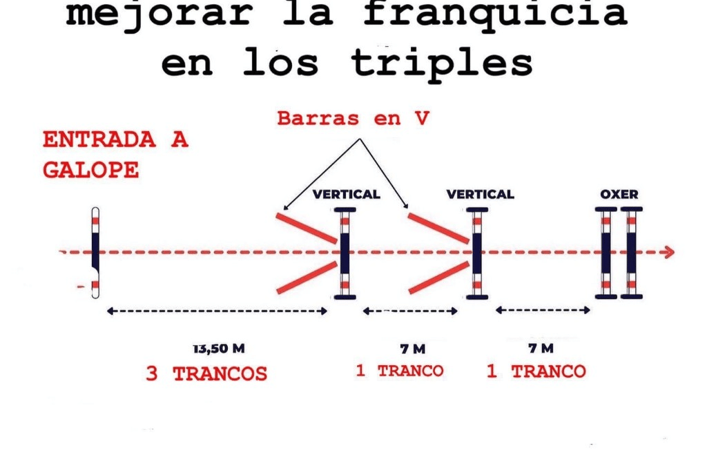 Una combinación complicada, explicada por Laura Vivo