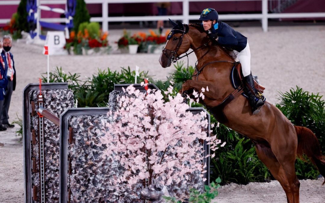 ¿Es King Edward el mejor caballo del mundo?