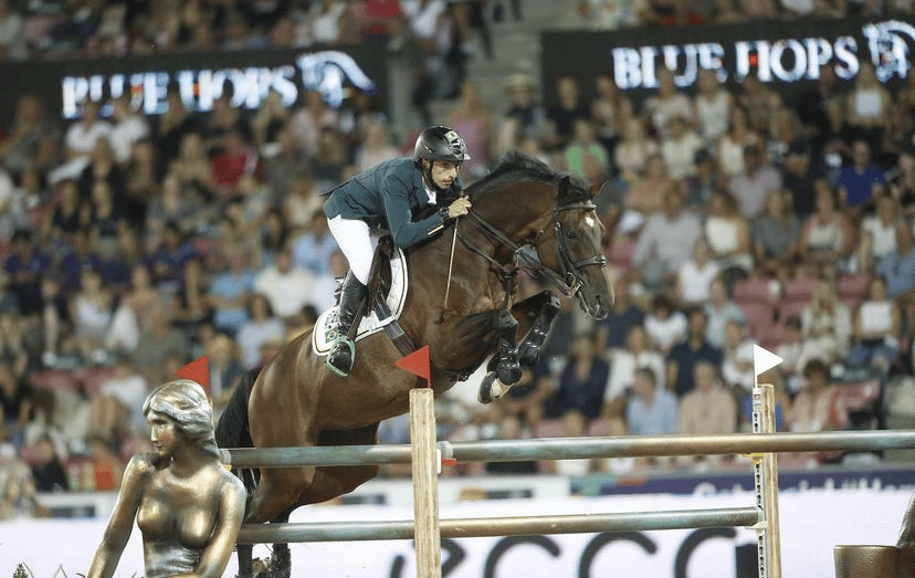 Video de QH Alfons Santo Antonio con cinco años. Caballo de Yuri Mansur