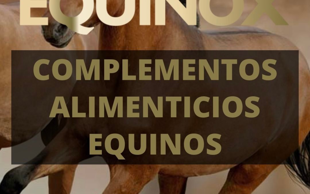 EQUINOX EQUINE, SUPLEMENTOS TOP PARA TU CABALLO