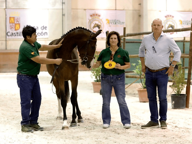 Dominio de Casa´l Capellán y Del Maset. Finalizó el Concurso Morfológico que anualmente organiza Ancades.