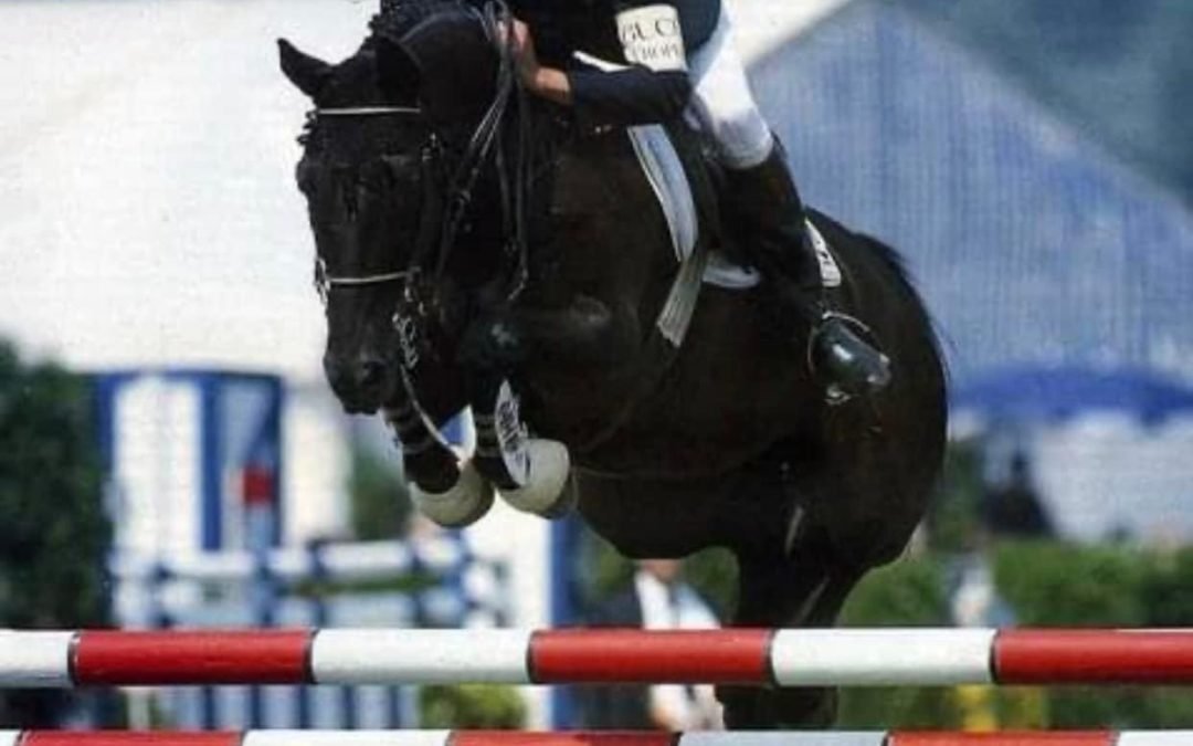 Jappeloup Marketing… digo, Chacco Marketing: un mes de junio sin límites