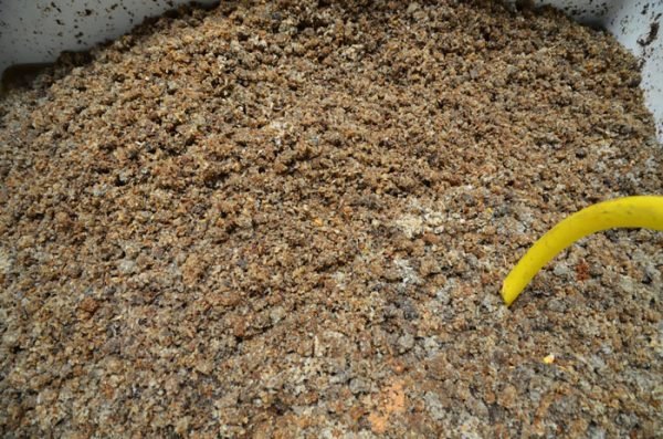 Los beneficios de la pulpa de remolacha para los caballos
