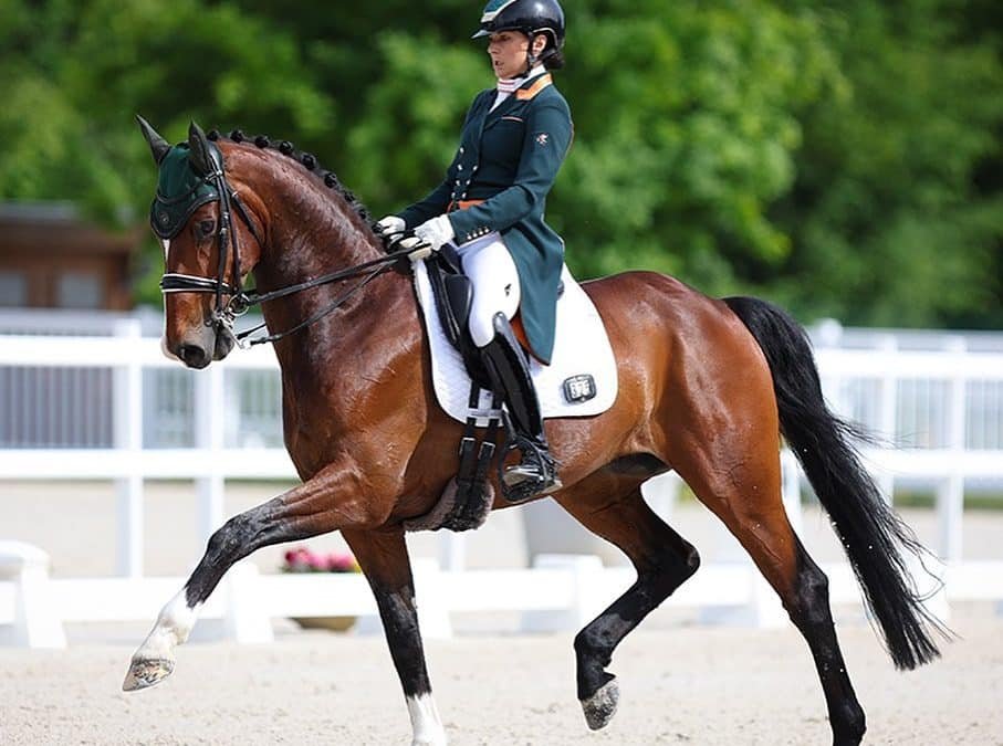 Porqué Carl Hester es la razón de que una amazona TOP de doma se mude a 500km