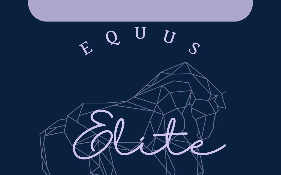 Notición en EQUUS ELITE PROGRAM: “Buscamos de 3 a 5 nuevos colaboradores”