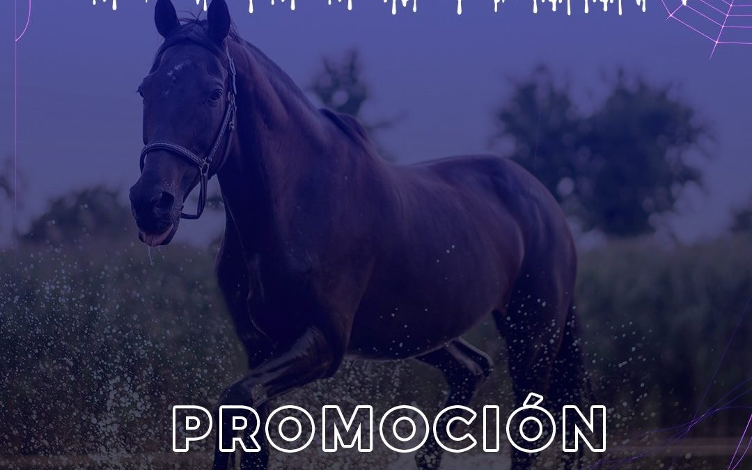 ¿Ya te has enterado de las condiciones de nuestro Chaccoween? Halloween a la máxima expresión