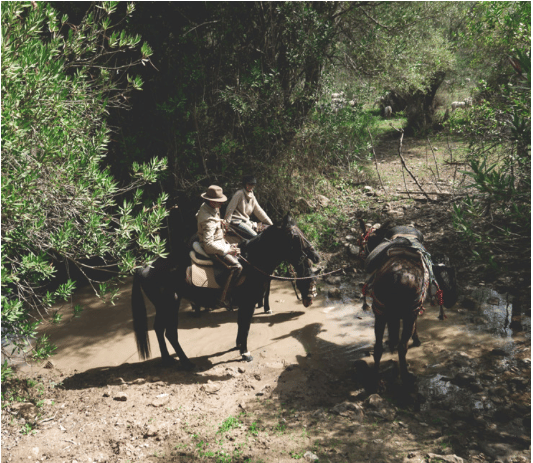 El significado de «Maktub» y porqué debes conocerlo