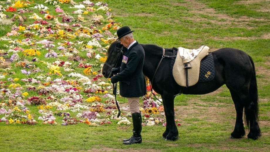 ¿Qué pasará con Emma, el caballo de la Reina Isabel II?