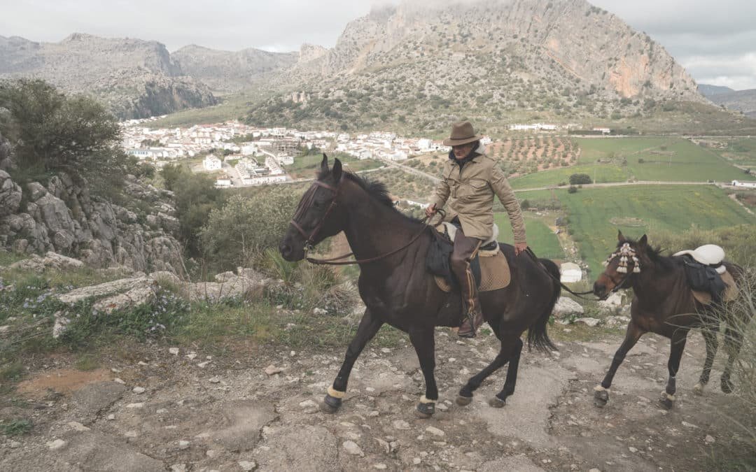 ¿Nos vamos de safari este fin de semana?