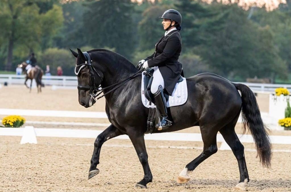 Lier será sede de la primera etapa de la Copa de Naciones en mayo de 2025