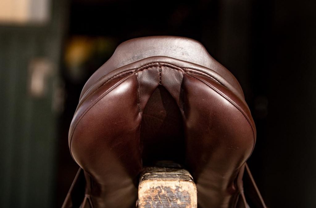 ¿Cómo escoger la montura adecuada para mi caballo?