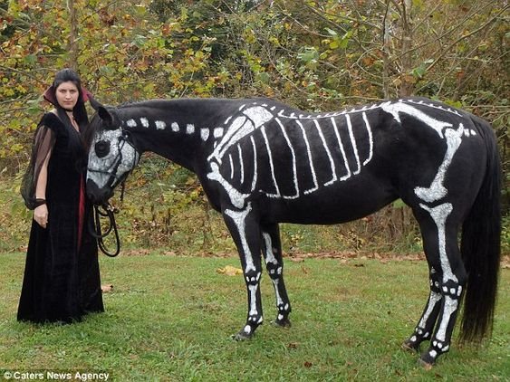 Ideas de disfraces para Halloween – versión equina