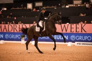 Madrid horse week