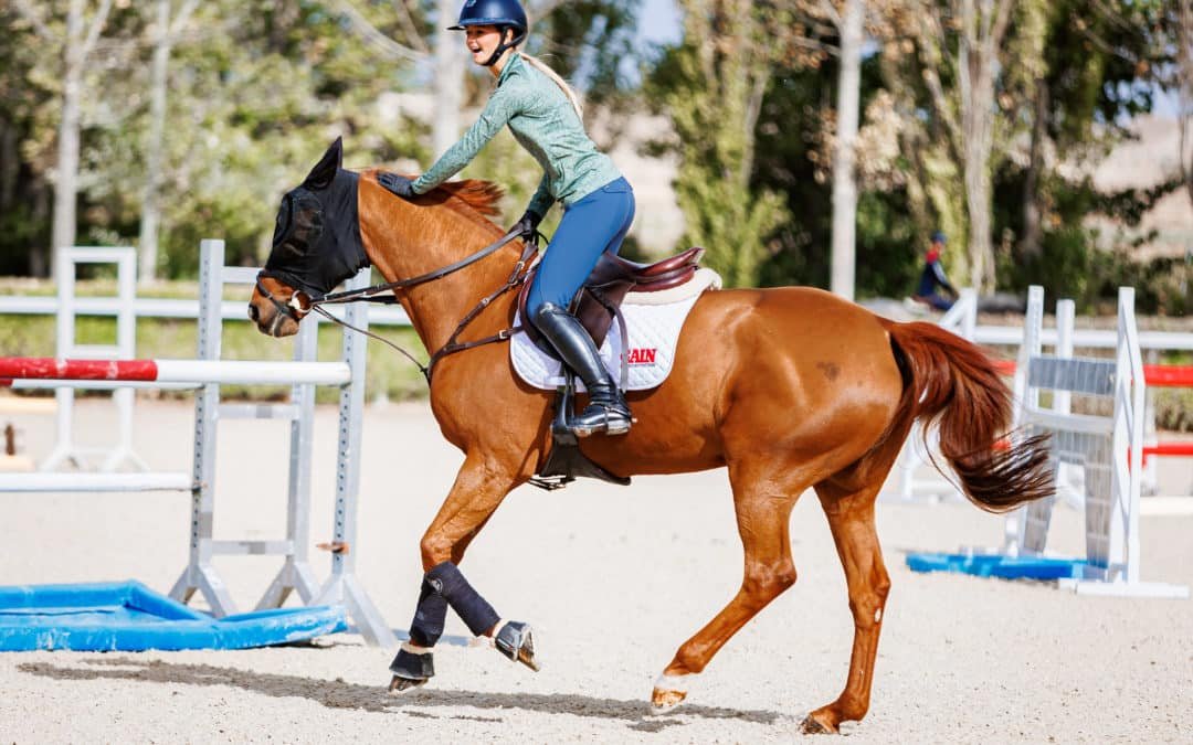 9 cosas comunes que los jinetes decimos a nuestros caballos (Parte 1)