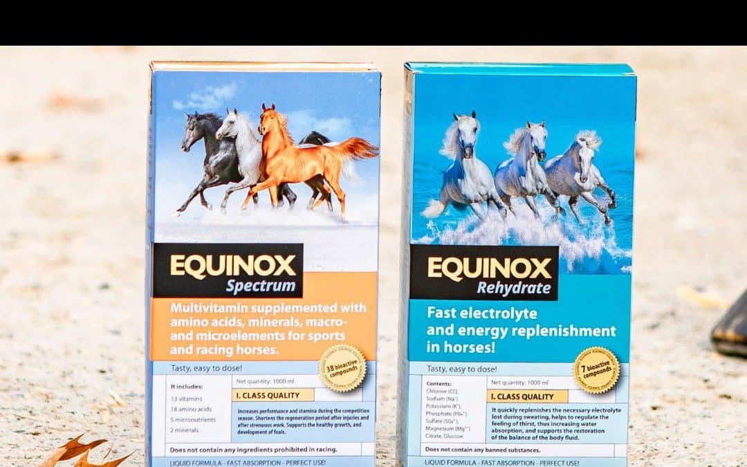 Black Friday equino: las mejores ofertas