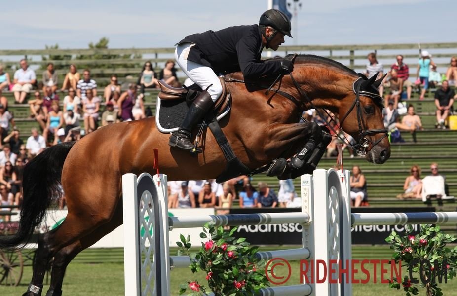 “Chacco Blue” sigue liderando el ranking WBFSH de sementales de Saltos tras 6 años consecutivos