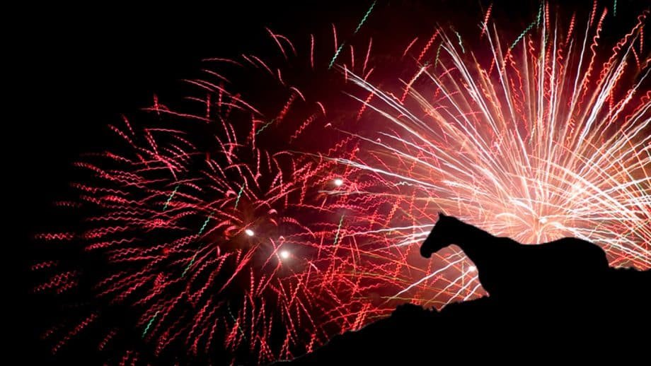 Los Reyes Magos llegarán a Zamora montados en sus majestuosos caballos