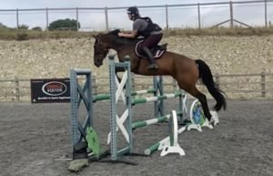 caballo hermafrodita