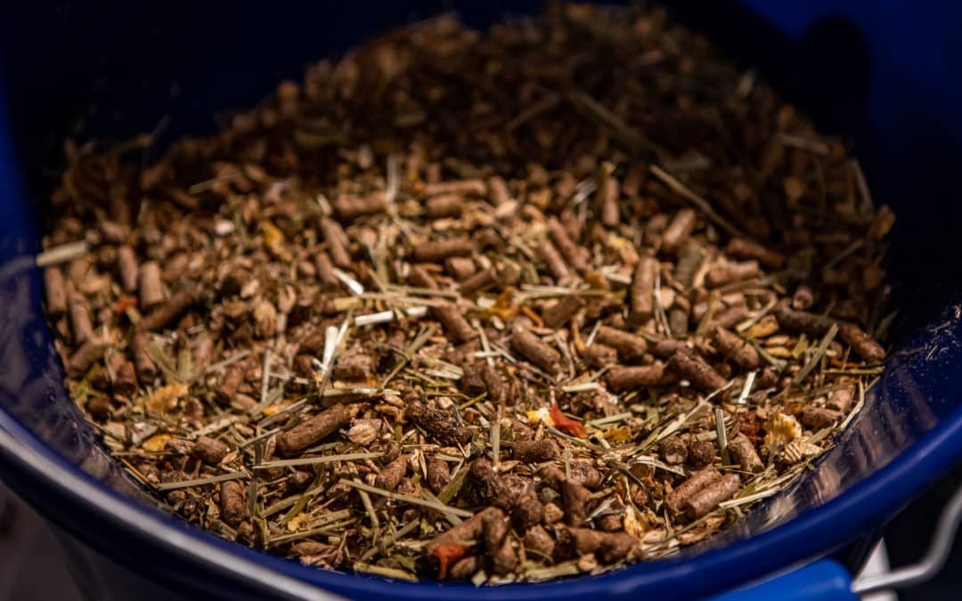 5 consejos de expertos para alimentar a los caballos en invierno