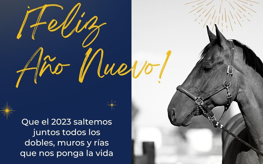 Gracias por acompañarnos este 2022. ¡Vamos a por un súper 2023!