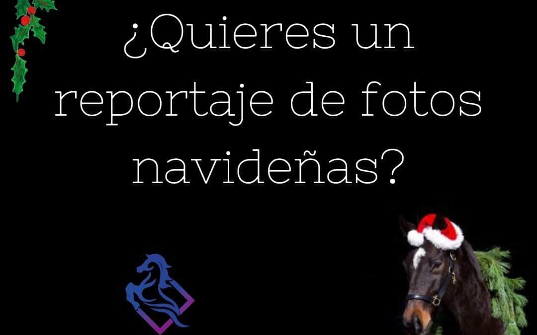 Reportajes navideños. Solicítanos el tuyo