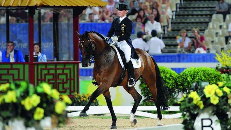 5 grandes caballos de doma de los que nos despedimos en 2022