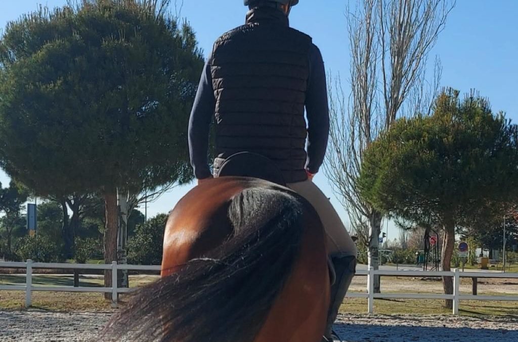 La relación entre el jinete y su caballo: Clave del éxito