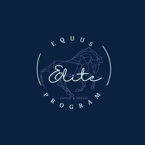 NOTICIÓN EN EQUUS ELITE PROGRAM – Buscan 3 colaboradores