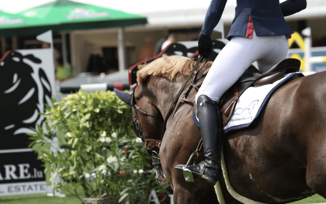 Una nueva investigación demuestra que el estrés tiene una mayor influencia en el cuerpo de los caballos que el ejercicio