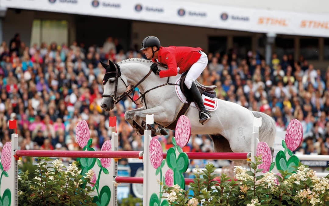 Chardonnay , el semental favorito de Max Kühner, estará disponible para criar en el Stallion Station de Paul Schockemöhle