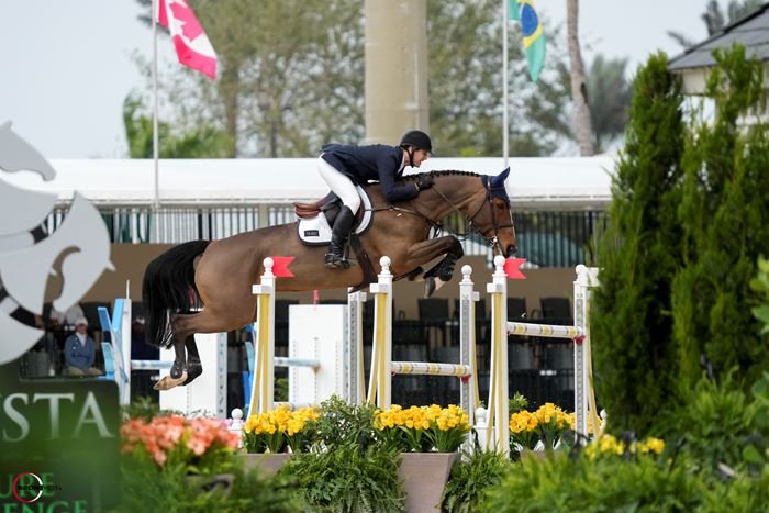 Doble victoria de récord para Mclain Ward en Wellington International