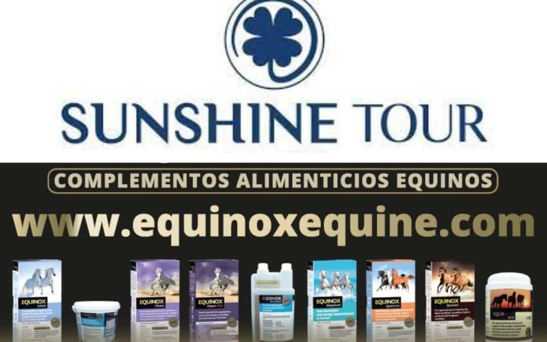 ¿Quieres saber qué suplemento necesita tu caballo?
