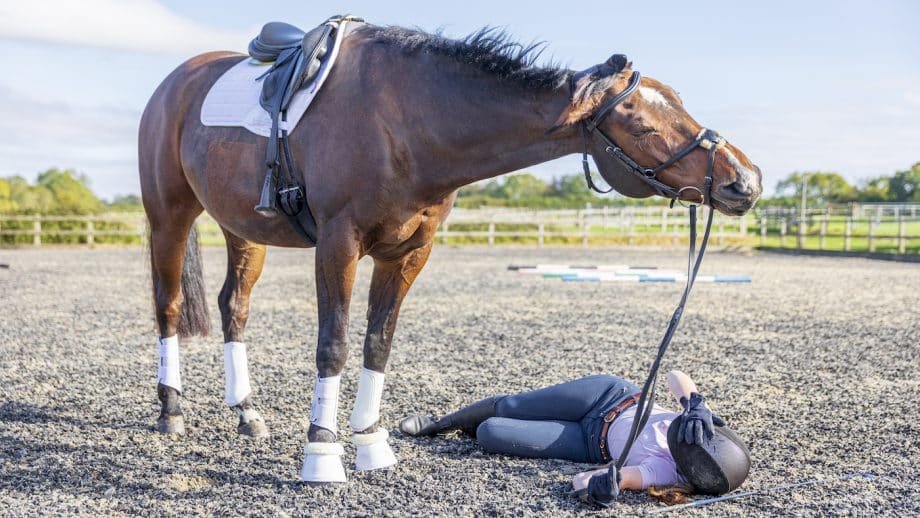 ¿Es malo o está malo? Necesitamos escuchar a nuestros caballos.