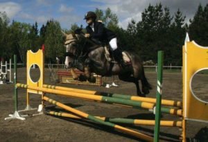 titularidad de un caballo 