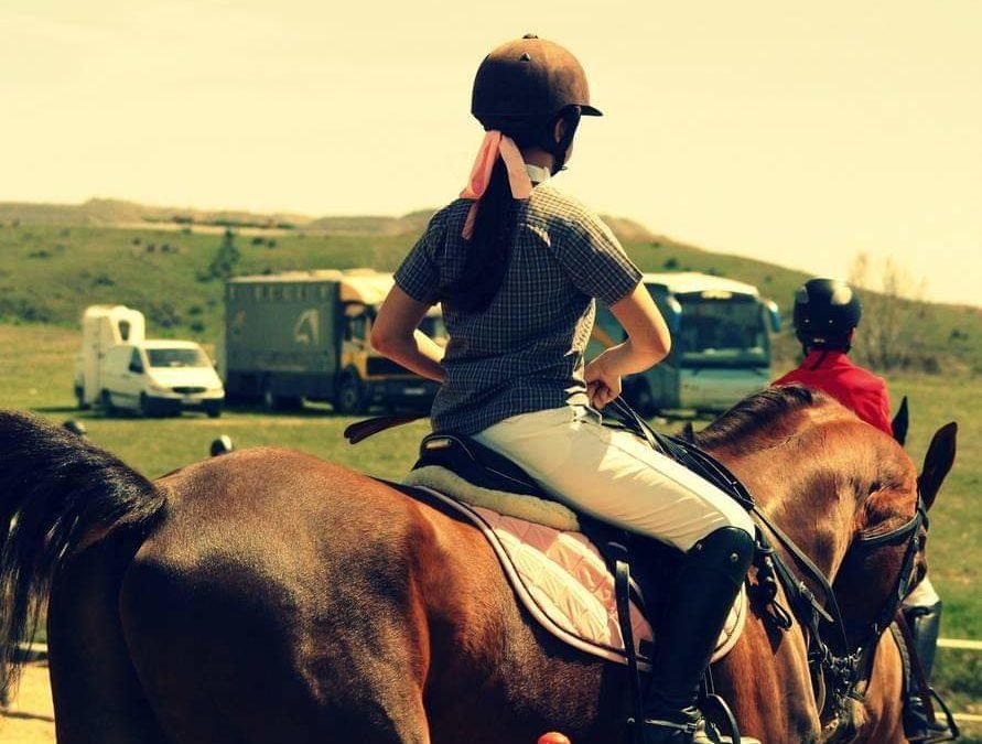 Acreditación de la titularidad de un caballo